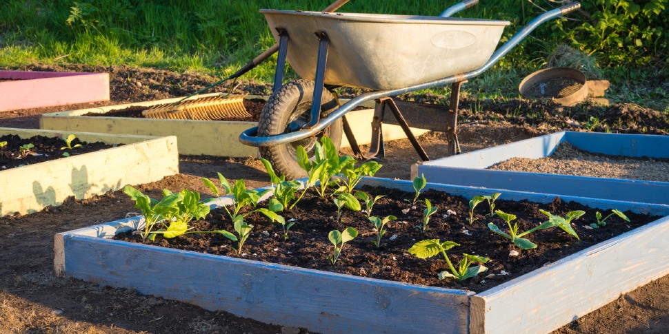 best garden bed