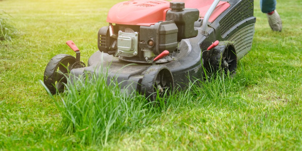 best lawn aeration