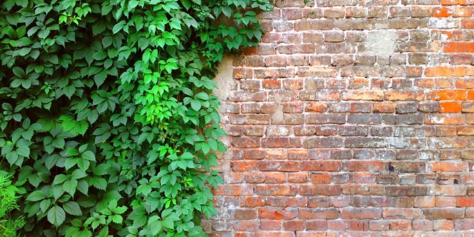 fading bricks