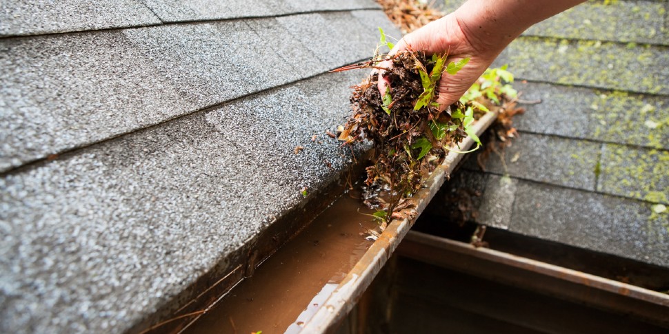 Homeowner cleaning dirt and debris out of a gutter.