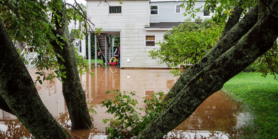 flood in the yard