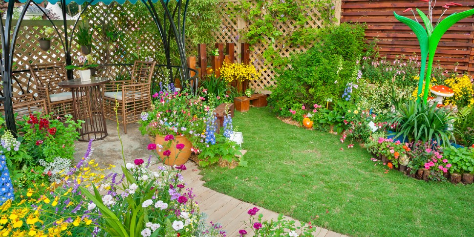 garden in a small yard