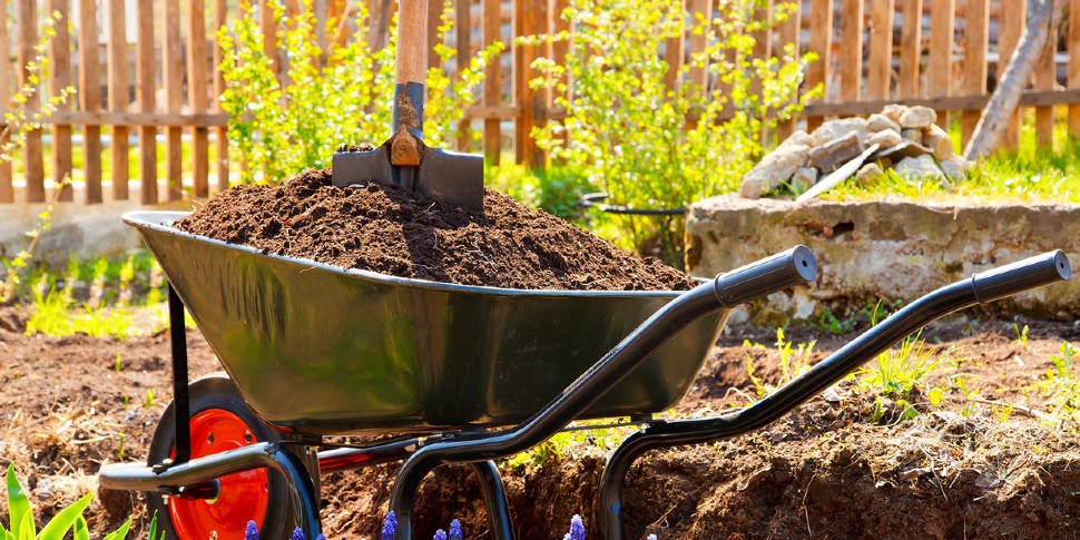 gardening