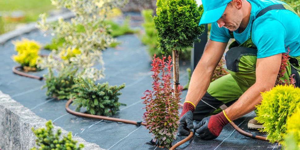 Should You Hire A Landscaping Company, How To Hire Landscaper