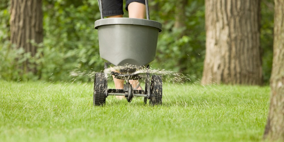 lawn fertilizer