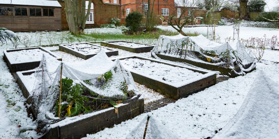 preparing lawn for winter