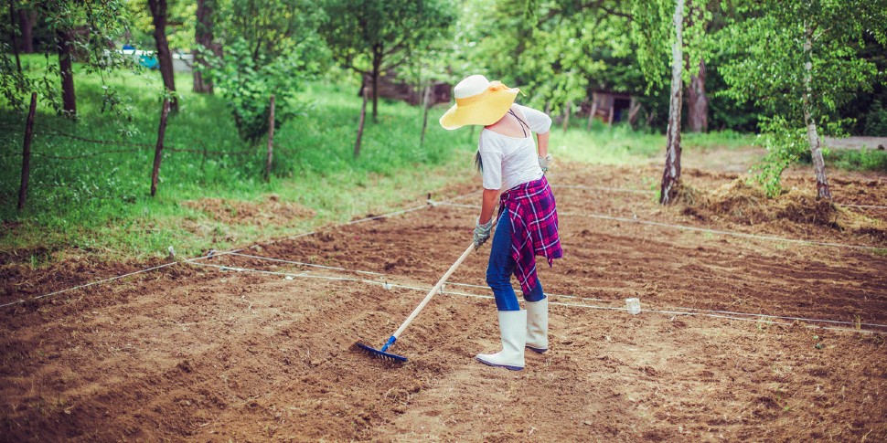 preparing garden bed