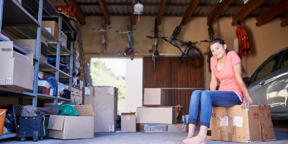 shed organizing