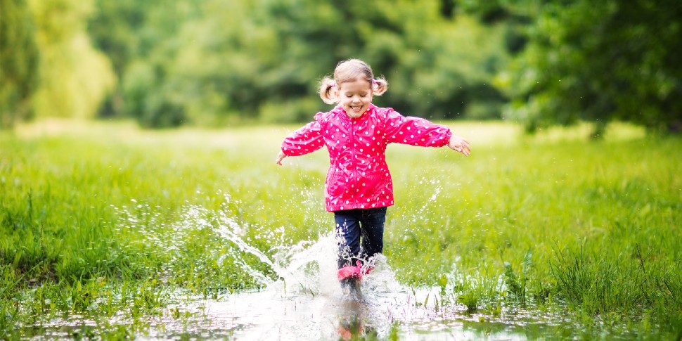 standing water in the yard