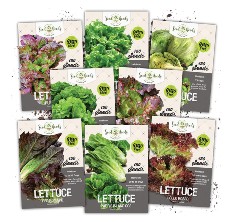 Lettuce Mix Seeds for Planting Hydroponics 500 Heirloom Seeds Variety Packet! 