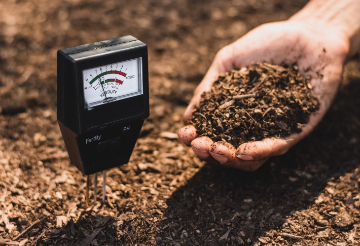The Leading Soil Tester Kits in 2023 Garden Gate Top Picks