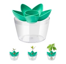 avocado growing kit reviews