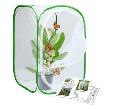 Alezywels Caterpillar Habitat 24 x 24 x 36 Inches Monarch Butterfly Cage Habitat with 5 Mesh Panels for Airflow Pop Up Butterfly Kit 36 Inches Tall 