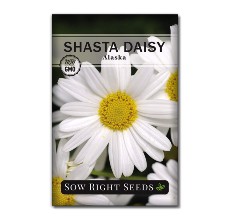 daisy seed reviews