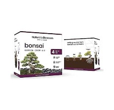 natures blossom bonsai kit reviews