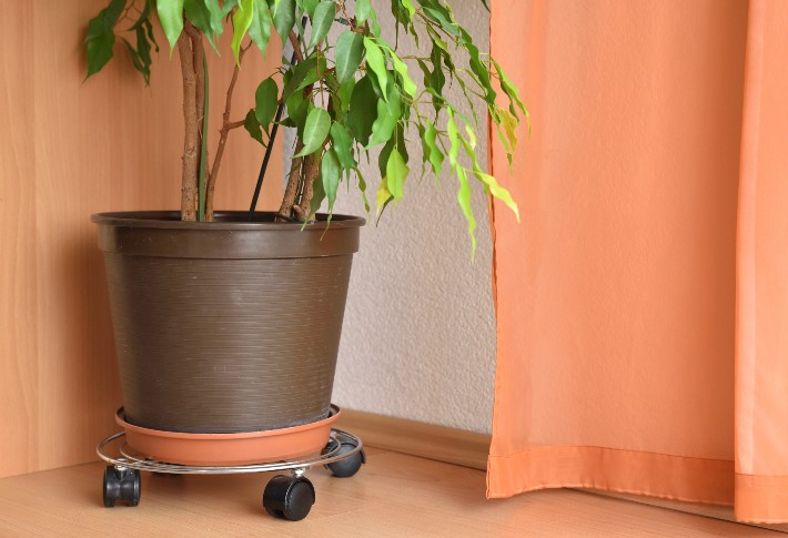 Brown Little Easy Patio Caddy Plant and Pot Mover; Easy Rolling; Decorative Heavy Duty; 360° Swivel Locking Wheels; Durable Plastic; Indoor Outdoor Home and Garden Tool; 12 Inch Plant Dolly 