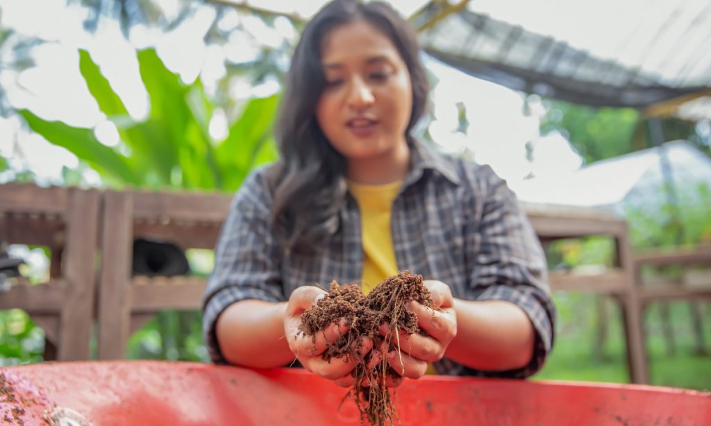 Topsoil and Subsoil Difference