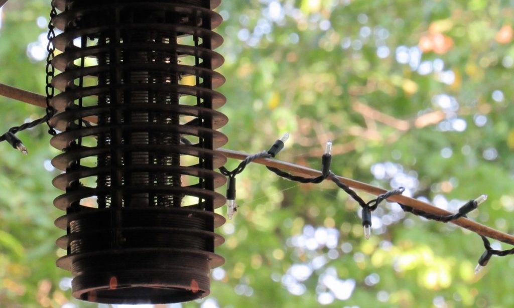 bug zapper – gg Prevent and treat bug bites by using bug zappers