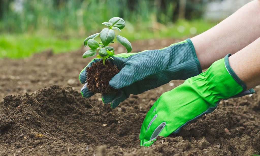 Keep your hands safe with the best digging gloves