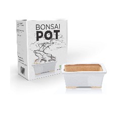 bonsai tree pot reviews