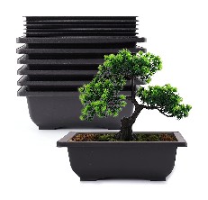 bonsai tree pot reviews