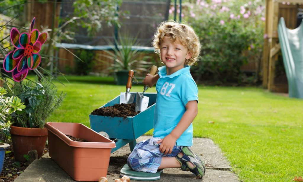 Essential Tools That Can Ease Gardening