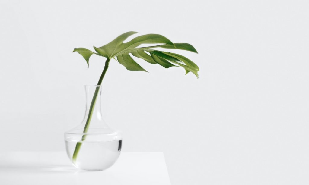 glass vase – garden gate highly rated glass vases