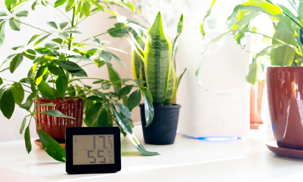 Indoor Gardener Needs Hygrometer
