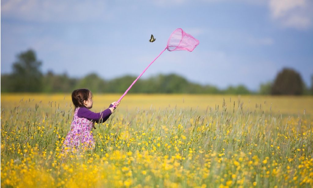 Insect Nets Help Keep Your Plants Protected