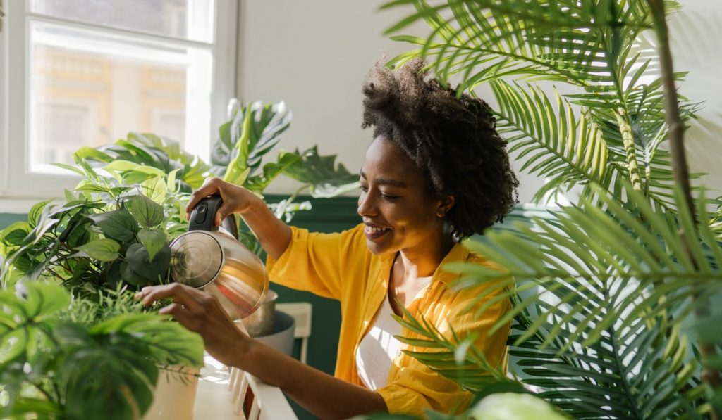 Top Plant Saucers