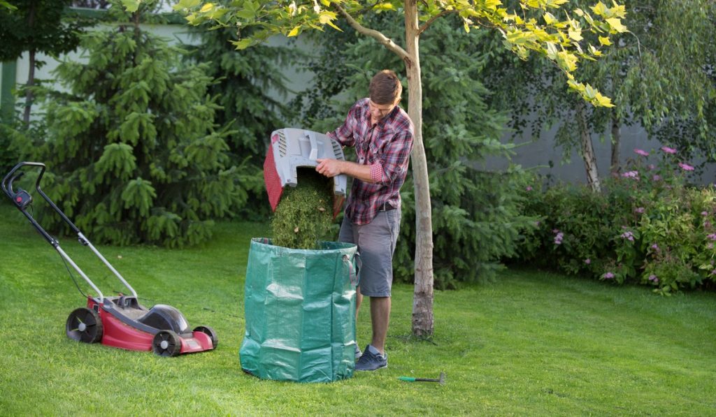 use a garden debris bag to collect dead leaves