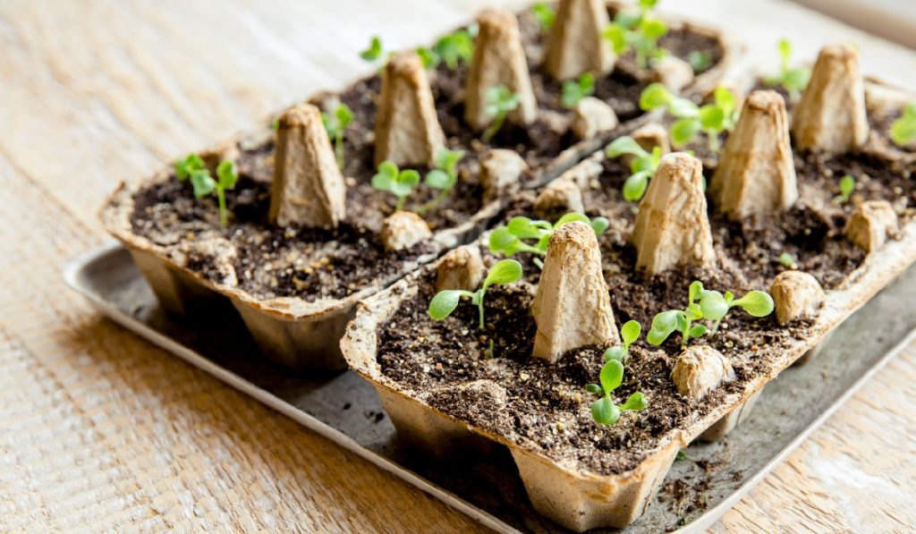 garden starter kit gardengate use a garden starter kit to begin your gardening journey