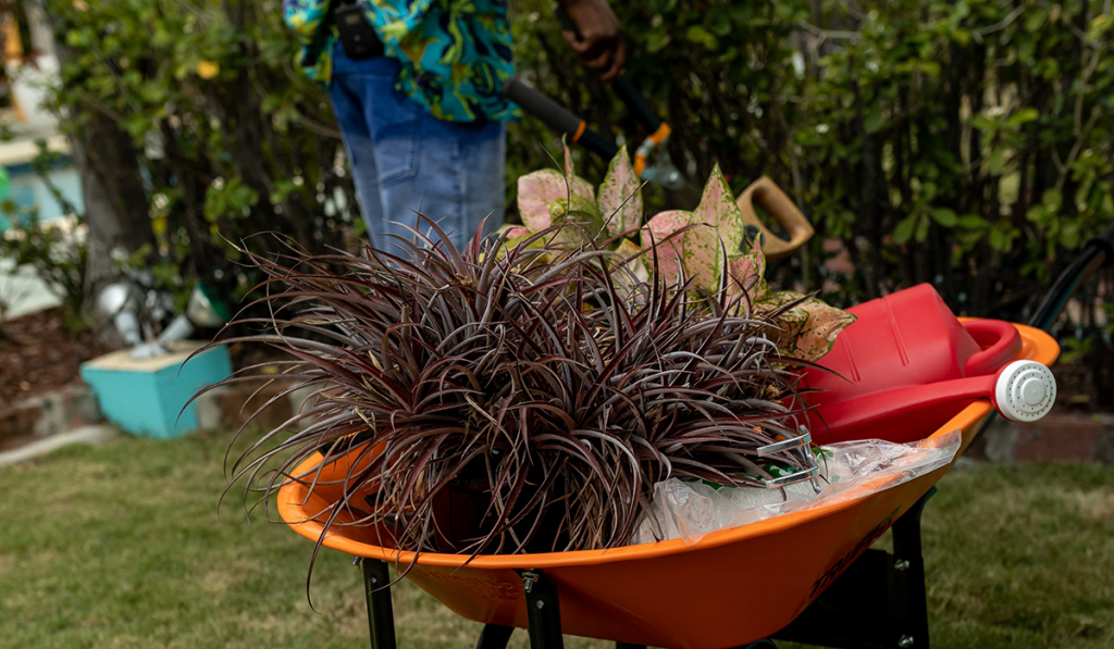 garden cart for gardening