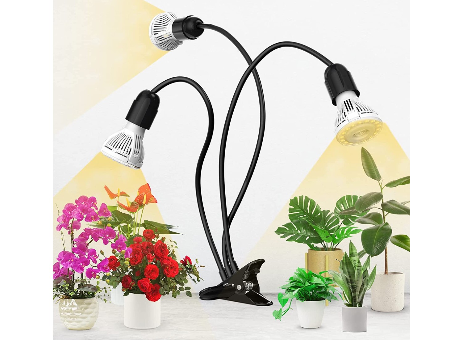 The Brightest Garden Lights in 2024 - Garden Gate Review