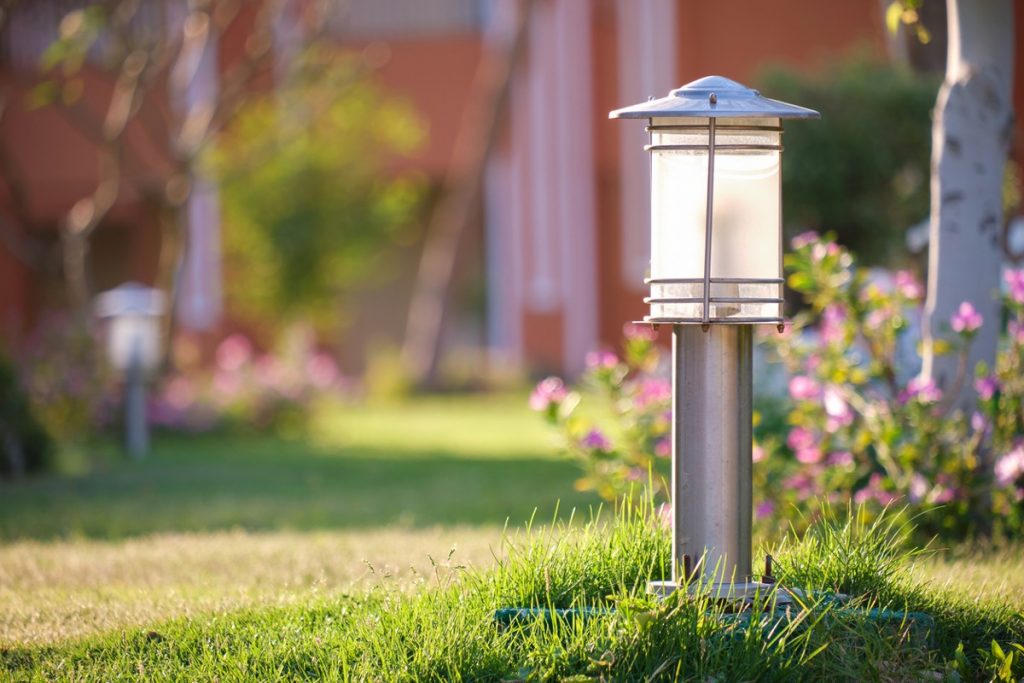 using a solar lamp to grow your plants