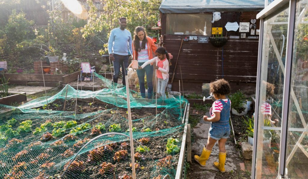 garden netting help keep your plants alive longer