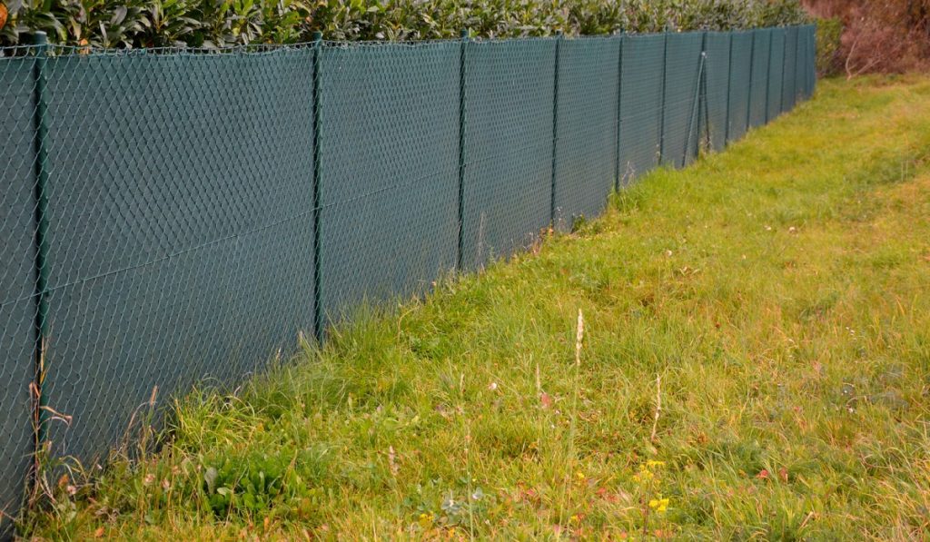 privacy fence screens help maintain a private backyard