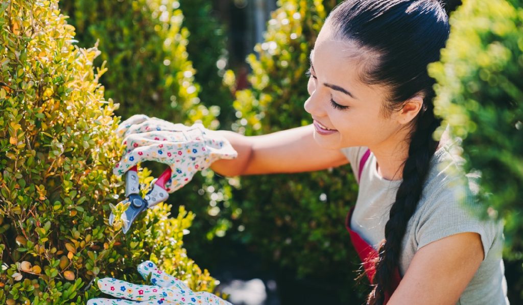 pruning shears are essential for pruning your garden