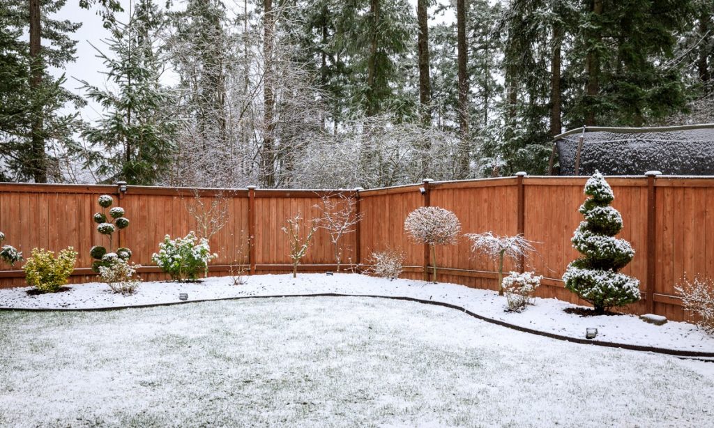 How to decorate your yard during winter season