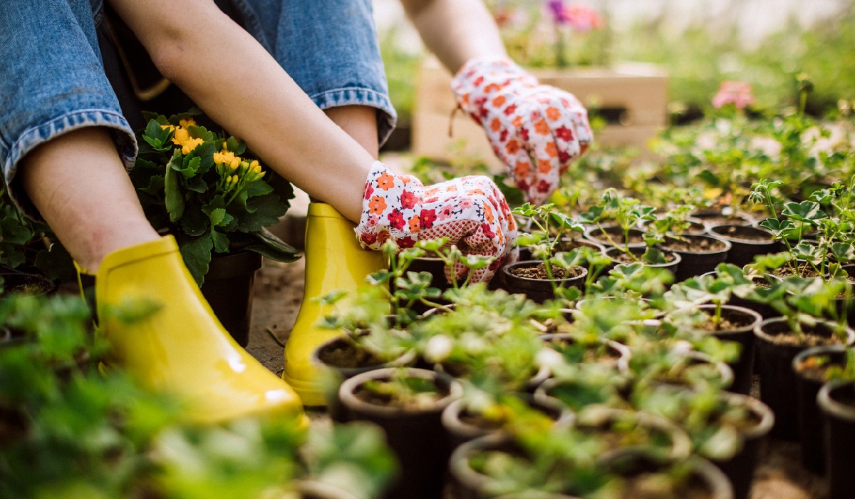 Gardening  Gardening Clothes and Footwear