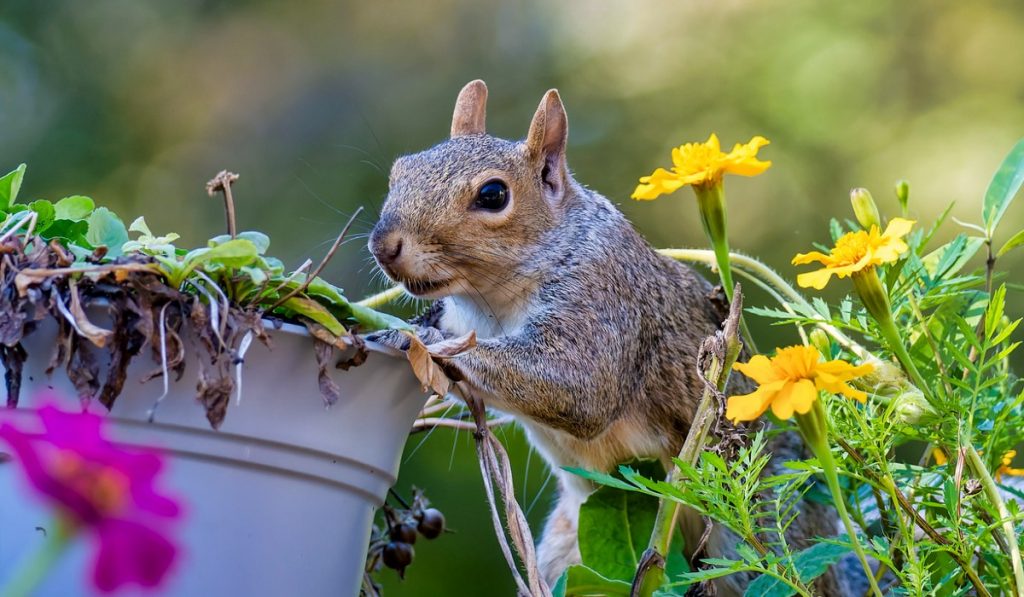 Provide Alternatives to Flower Pots