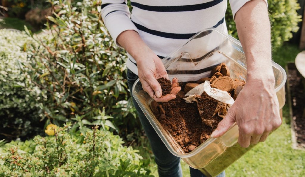 coffee as fertilizer garden-gate People Are Using Coffee as Fertilizer