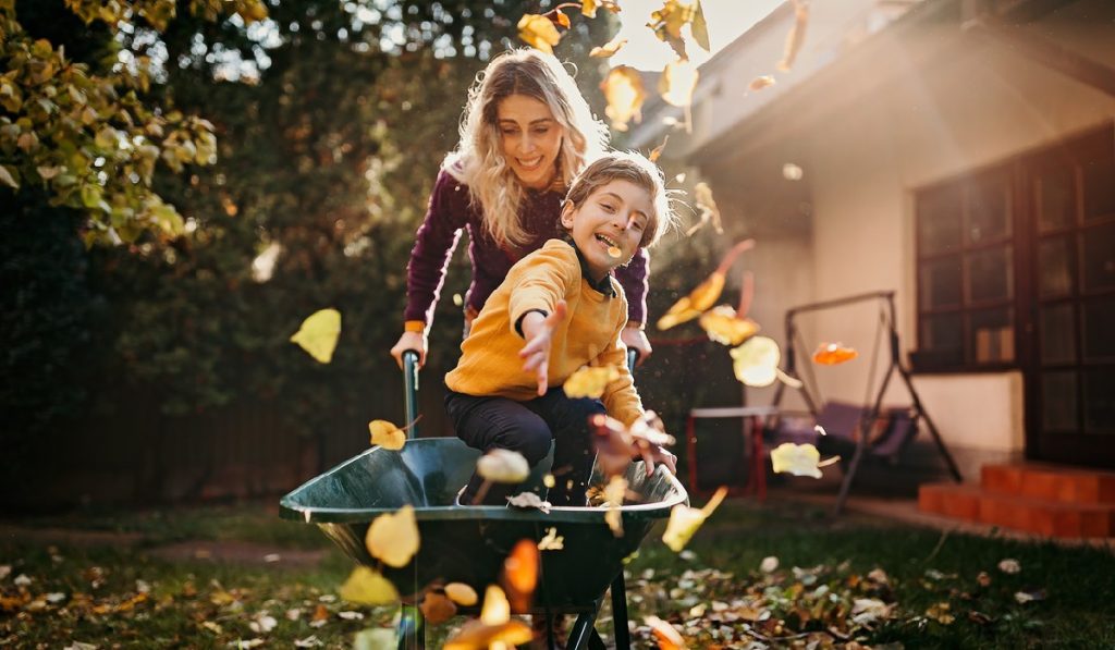 Assessing the Need for Garden Cleaning