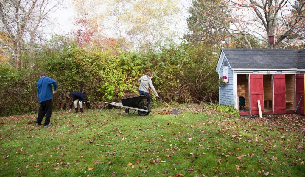 garden shed garden-gate Maintaining a Clean Backyard