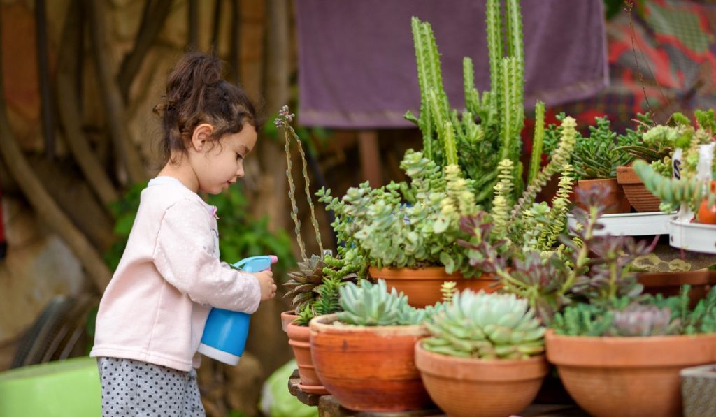 low maintenance plants garden-gate Types of Plants that are Low Maintenance