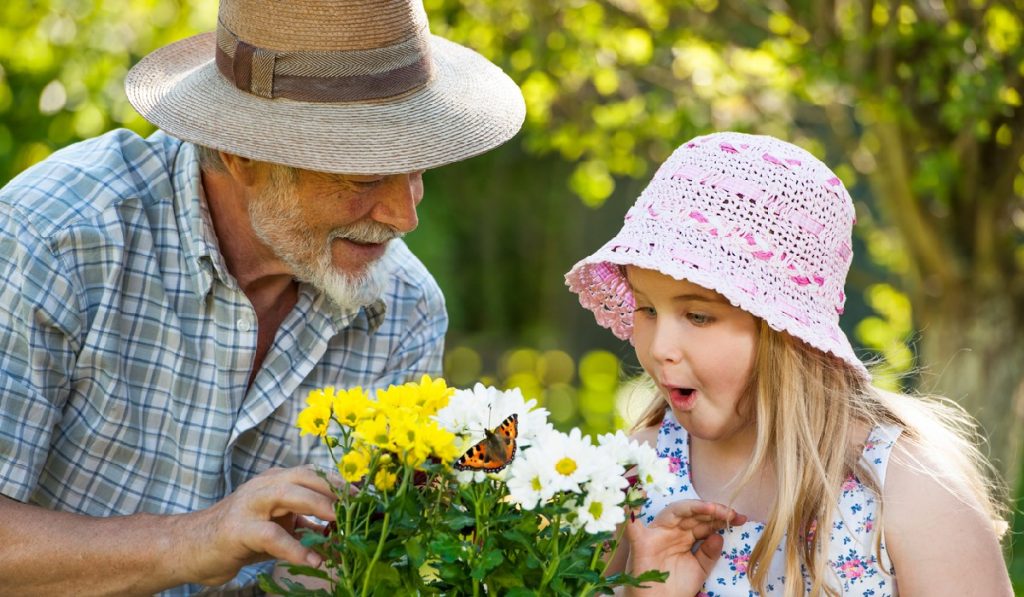 plants that attract butterflies garden-gate Plant Types That Attract Butterflies
