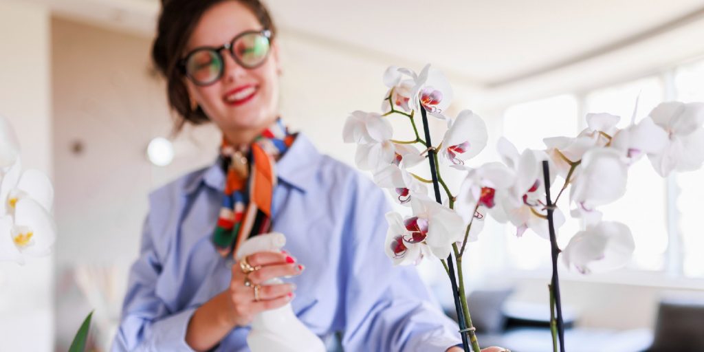 Young woman watering and taking care of home plants and flowers, Colorful orchids phalaenopsis.