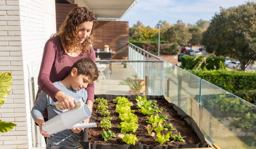 Mother and son watering vegetables in their urban garden