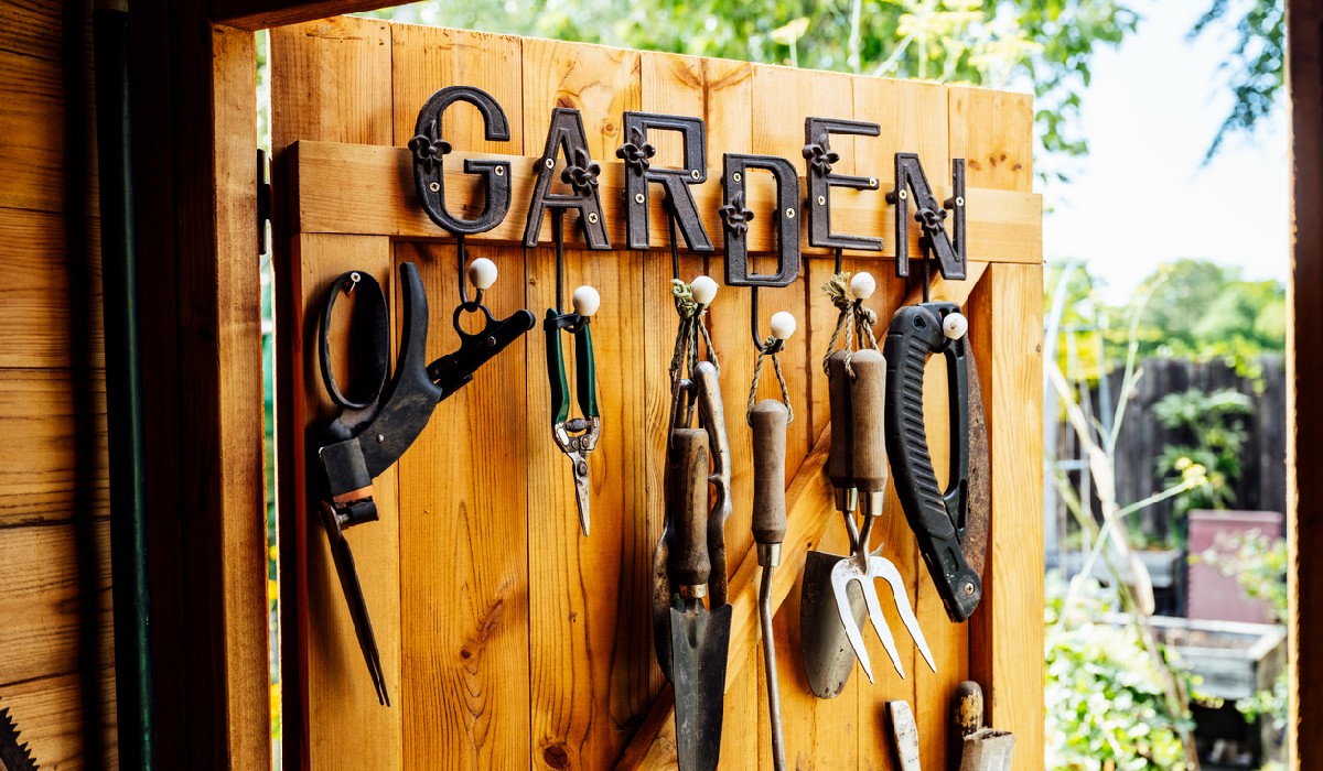 General Tips For a Beautiful Garden