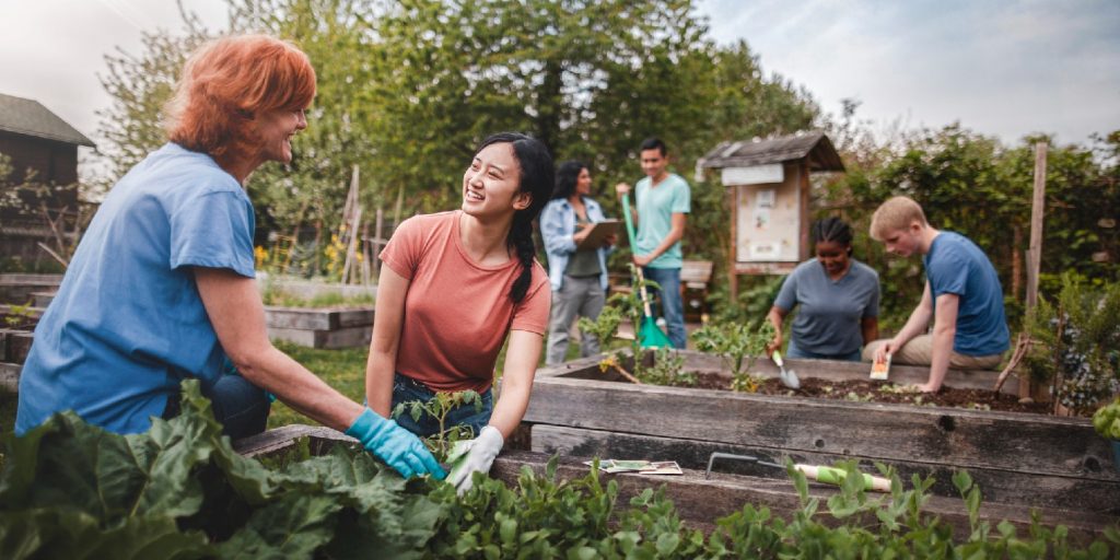 Multiracial group of young men and young women gather as volunteers to plant vegetables in community garden with mature woman project manager advice and teamwork